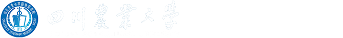 威尼斯886699